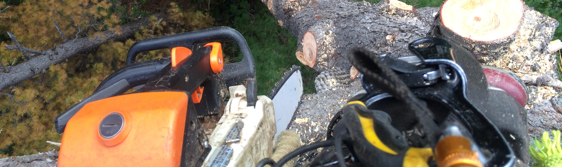 chain saw and equipment