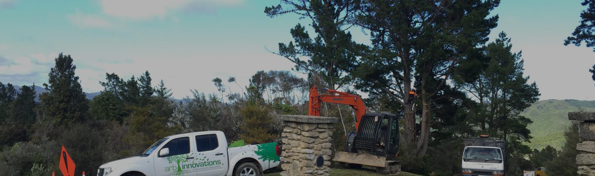 pickup truck and equipment at a large tree