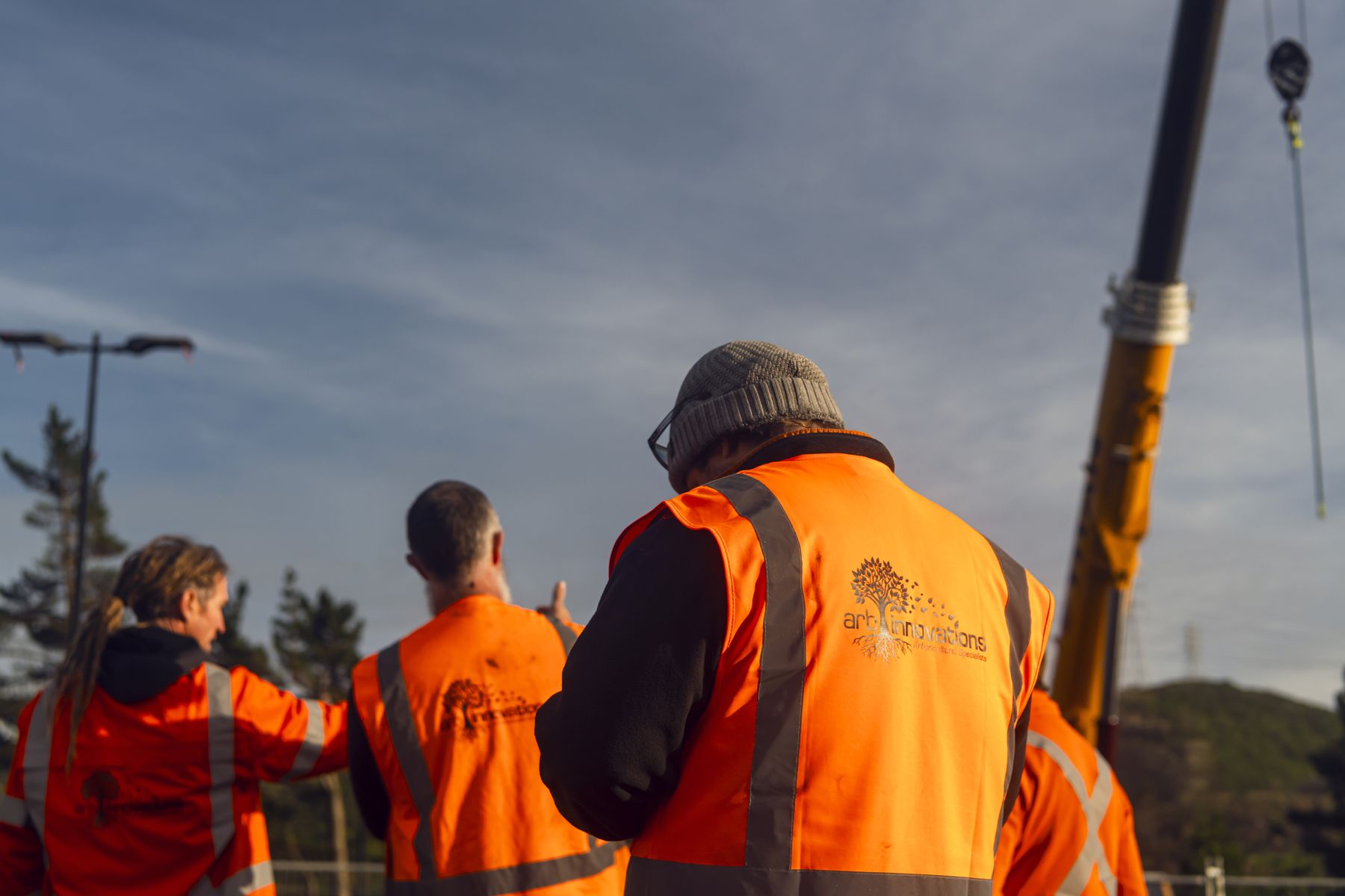 Arb Innovations crew planning a crane-assisted removal on site