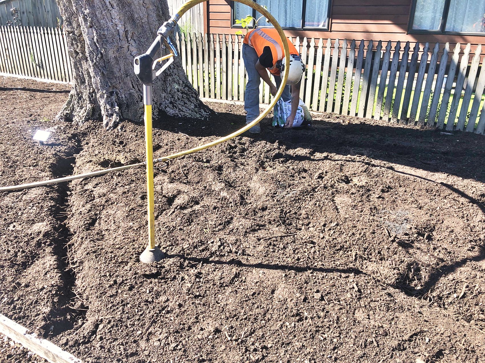 Arb Innovations crew air-spading and feeding the root zone of a mature street tree