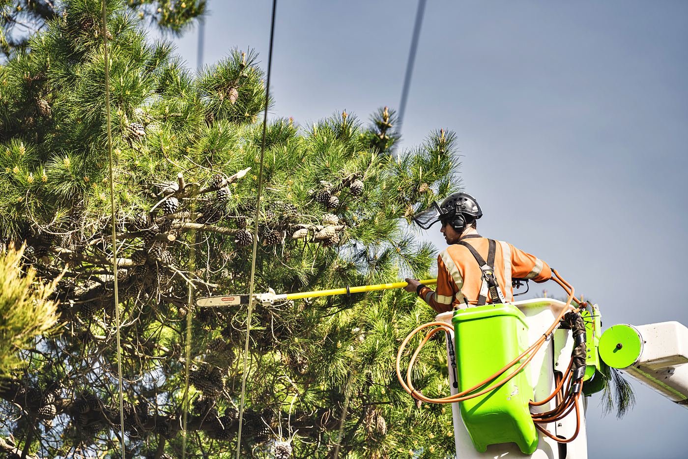 An Arb Innovations arborist making a cut with a pole saw from an elevated platform beside overhead lines