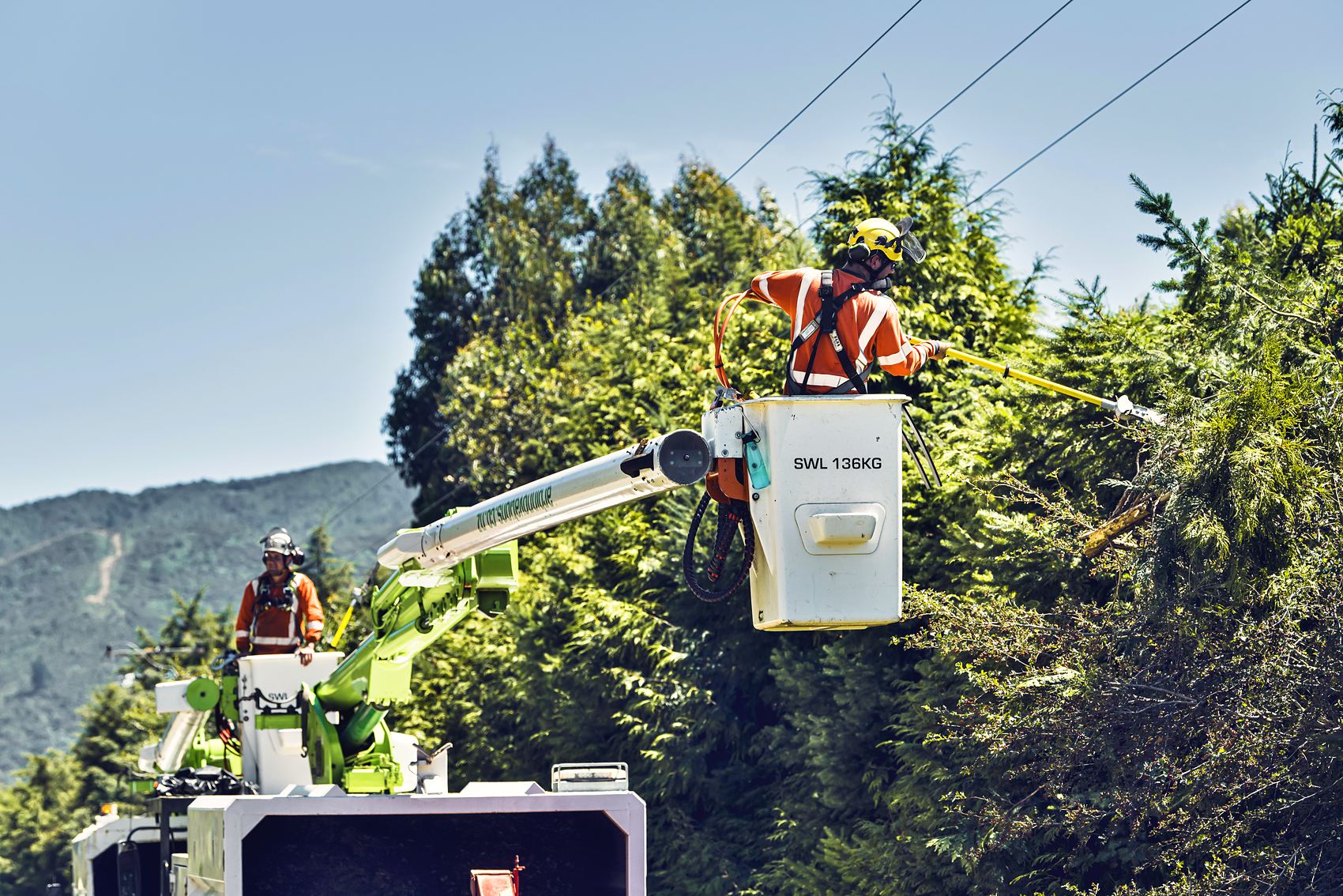 Two Arb Innovations elevated work platforms working a line through roadside trees