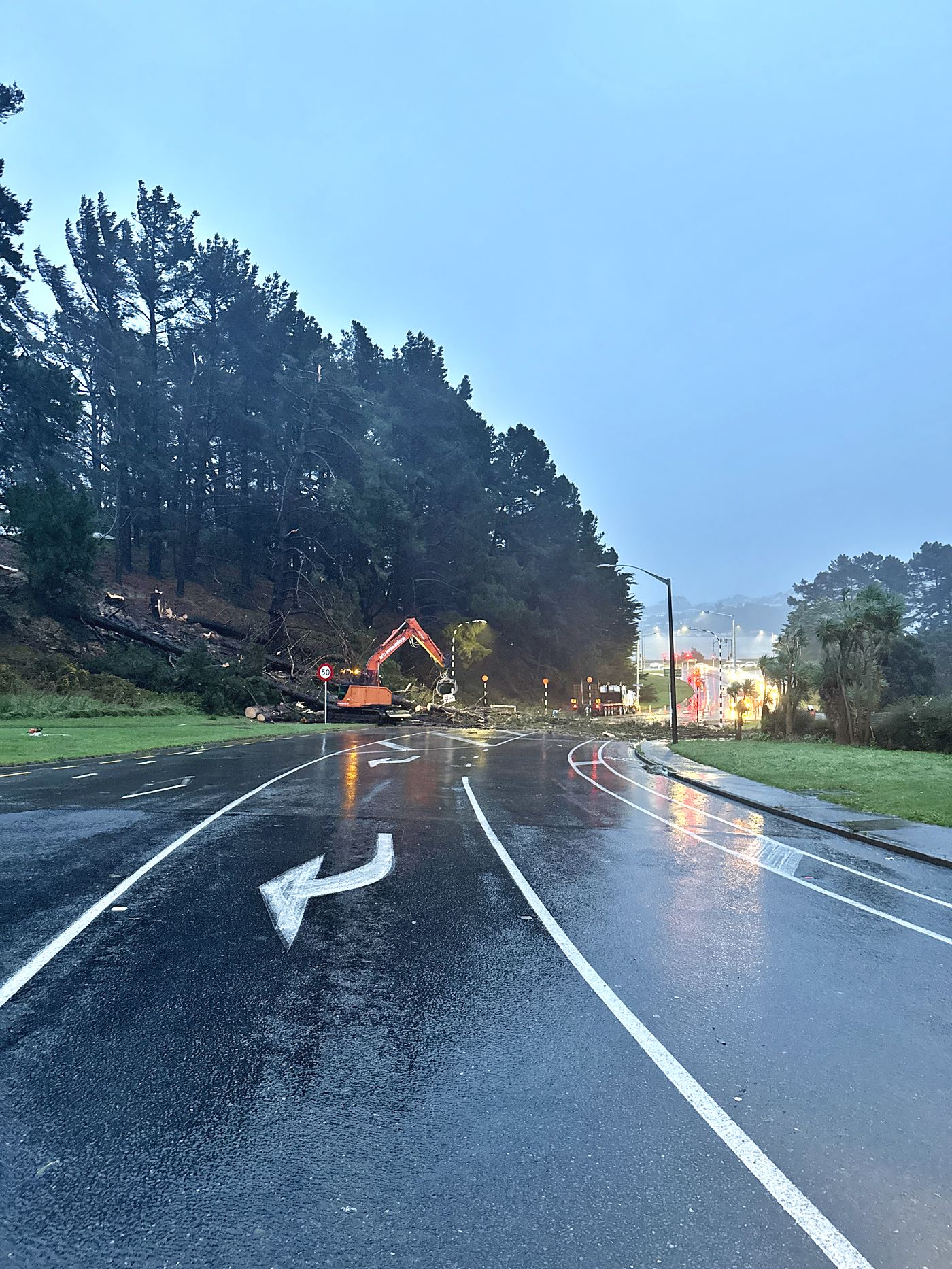 Arb Innovations excavator clearing windthrown pines from a closed road at dawn in the rain, city lights beyond